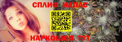 гидропоника Заволжье