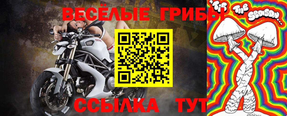 Галлюциногенные грибы GOLDEN TEACHER Надым